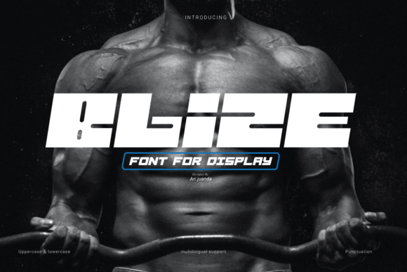 Blize: The Futuristic Display Font for Modern Web Design