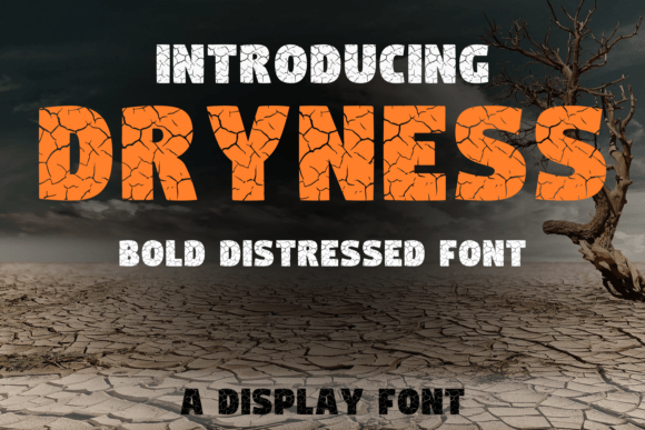 Dryness: The Premium Display Font for High-Impact Campaigns